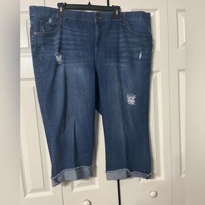 Women’s Terra & Sky Plus Size 22W Denim Distressed Capris